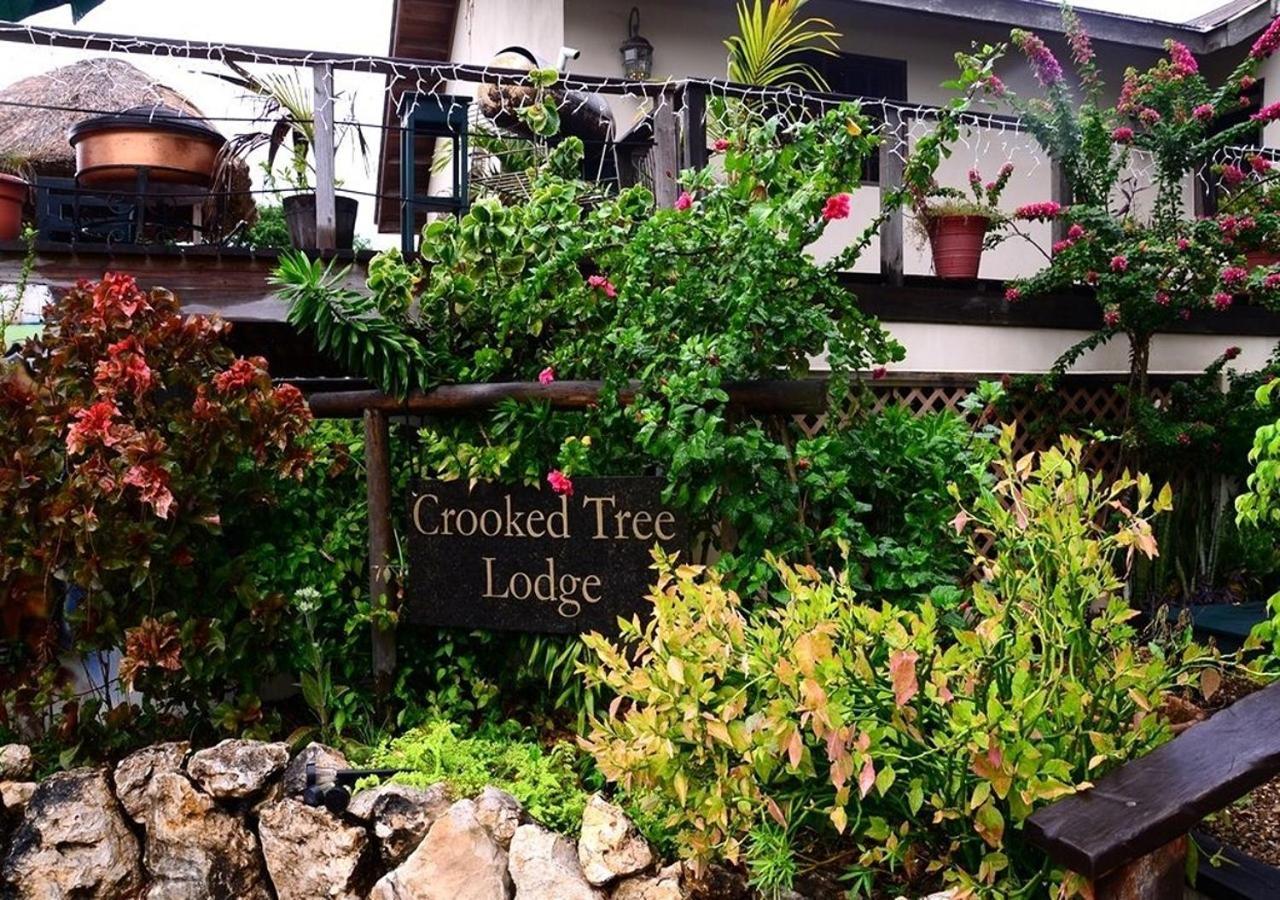 Crooкed Tree Lodge Belize Crooked Tree Exterior photo